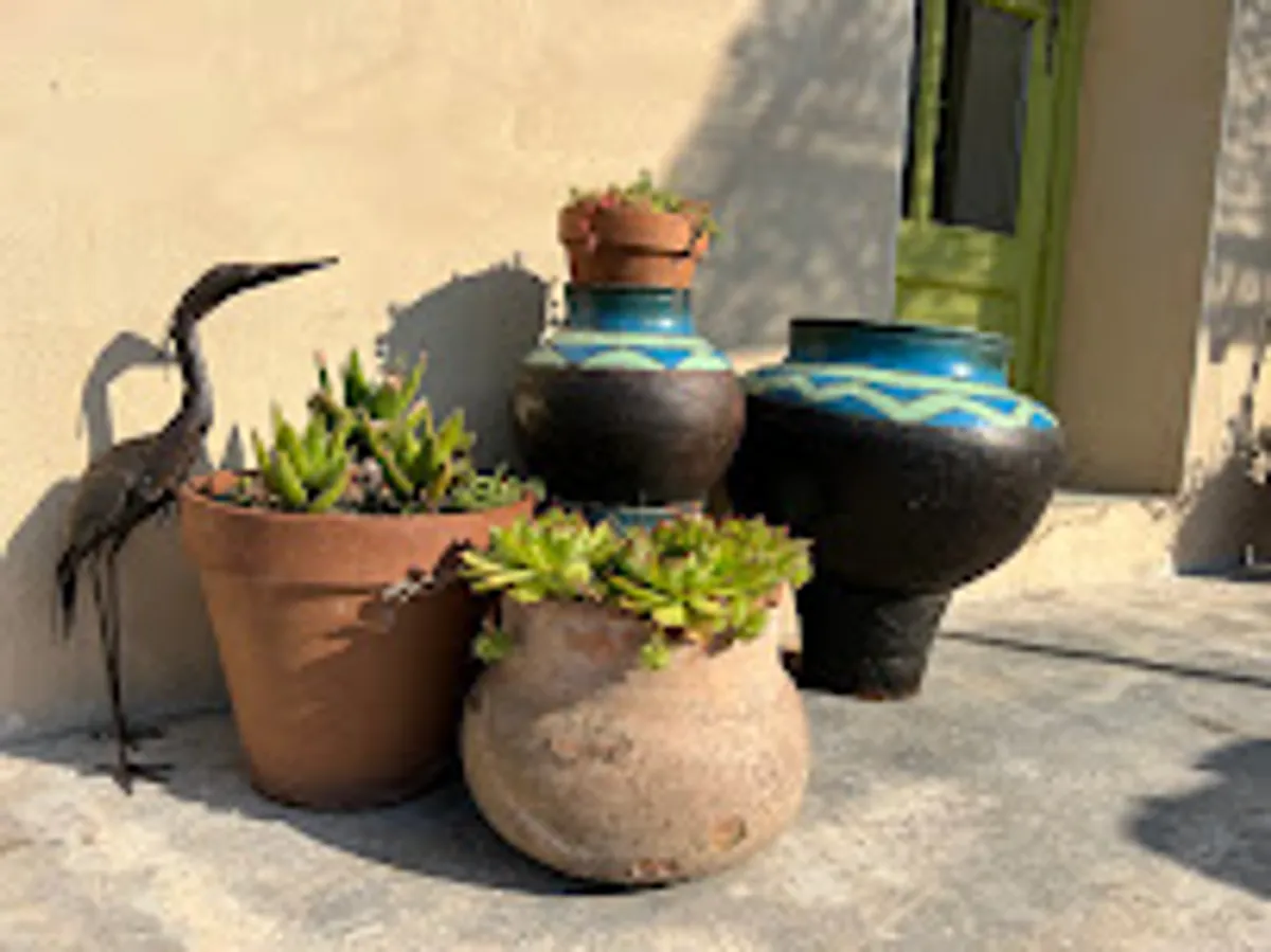 Conciergerie de l'Aigoual - Photo 7