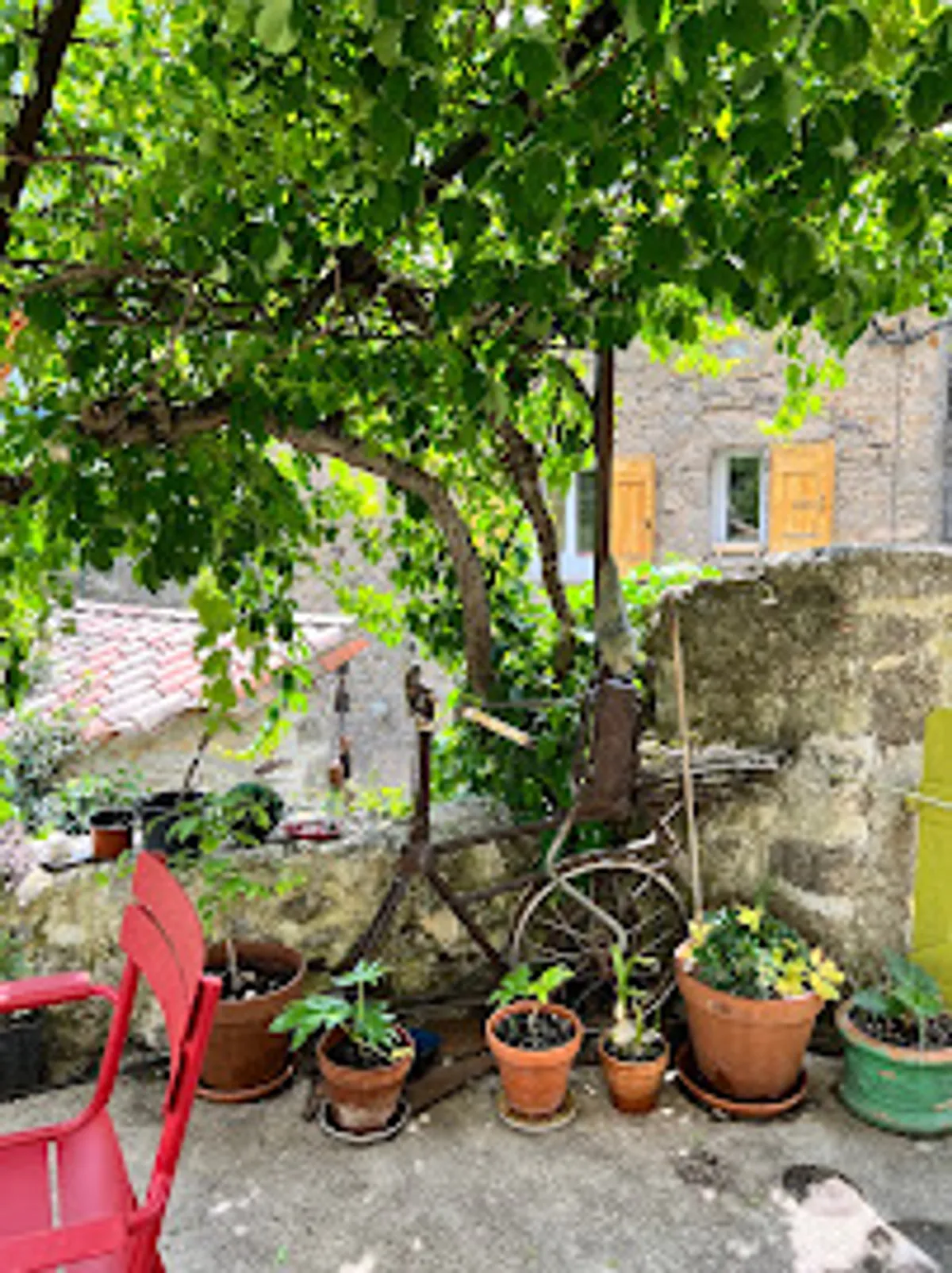 Conciergerie de l'Aigoual - Photo 9