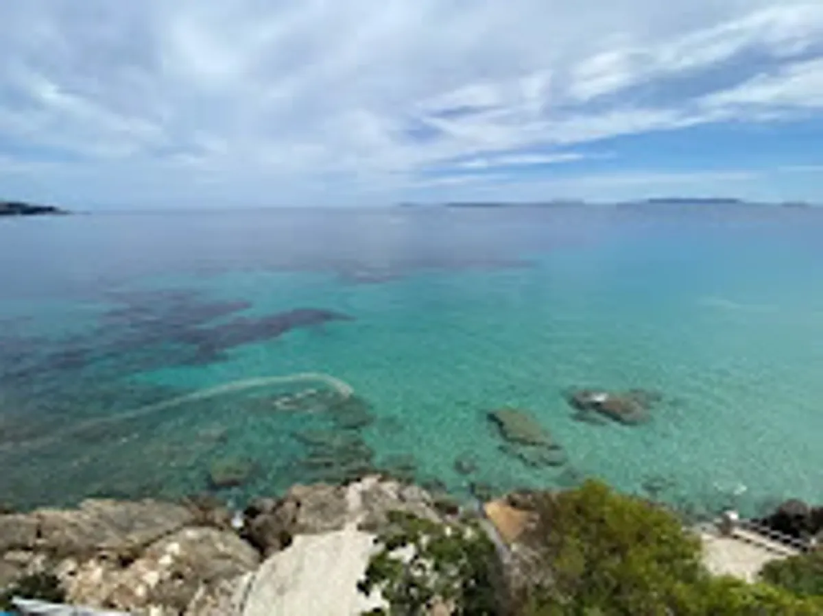 Conciergerie des Mimosas - Photo 4