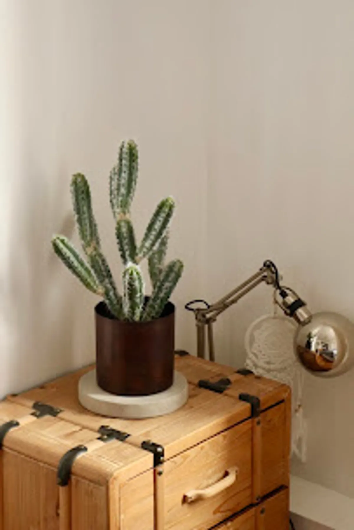 Conciergerie des Terres Paris - Photo 6