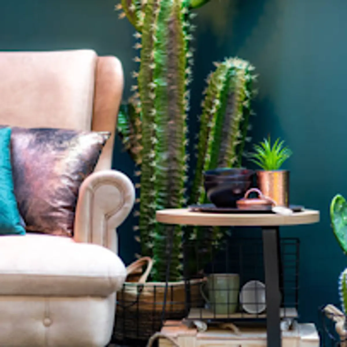 Conciergerie Dormir ici - Photo 5