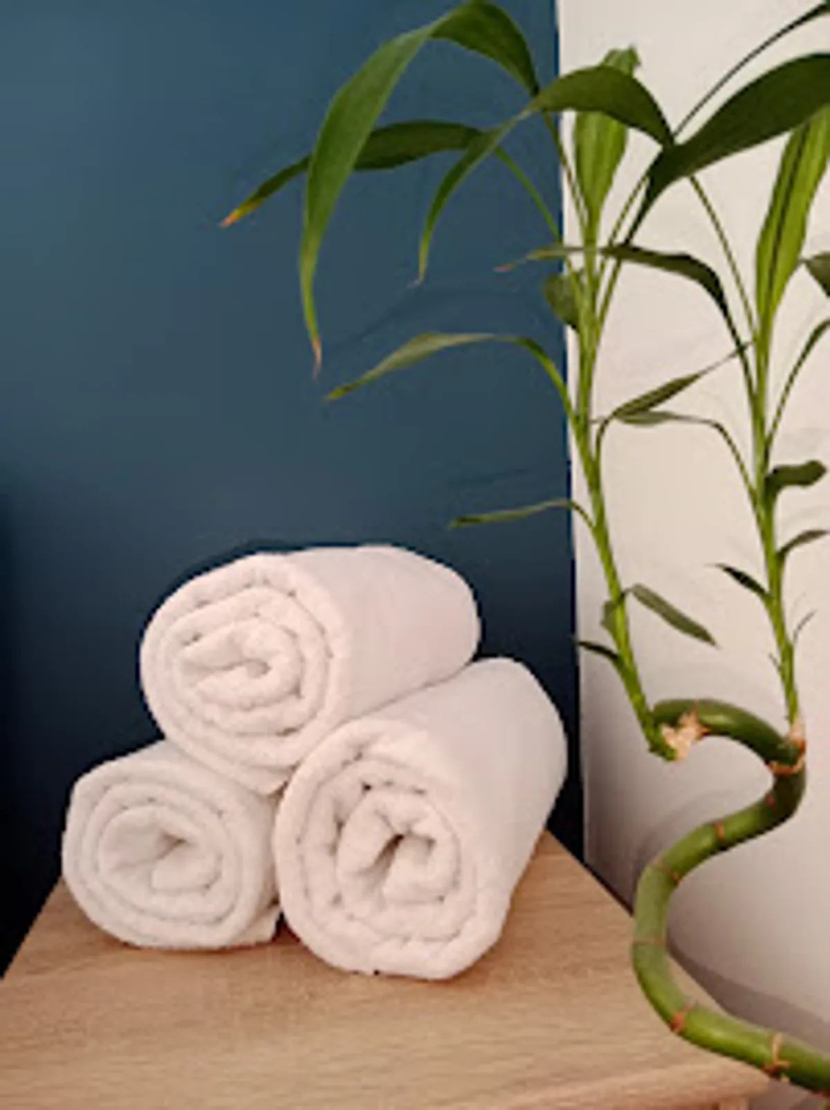 Conciergerie du Buëch - Photo 5