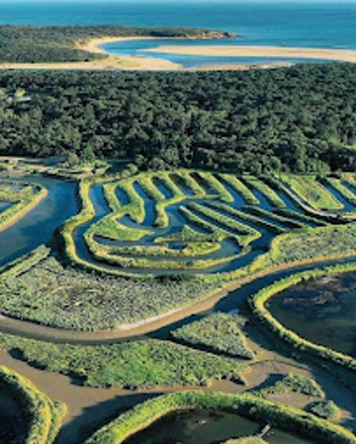 Conciergerie du moulin - Photo 5