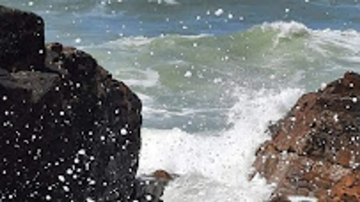 Conciergerie du moulin - Photo 8