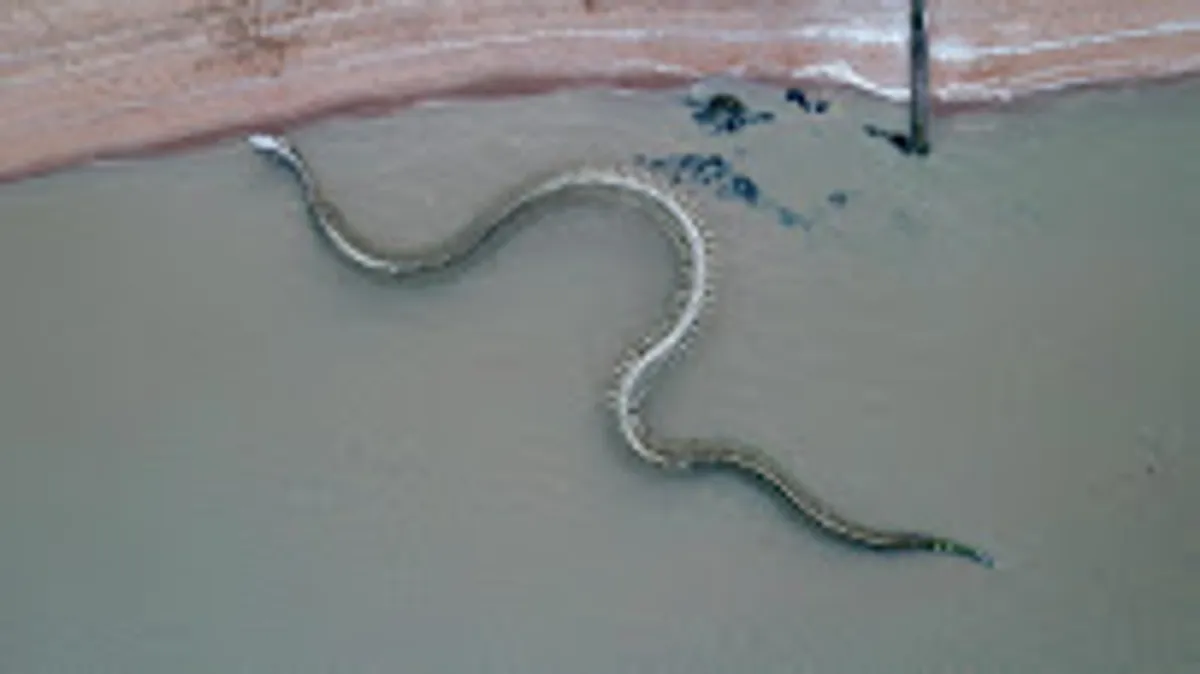 Conciergerie du pays de retz - Photo 3