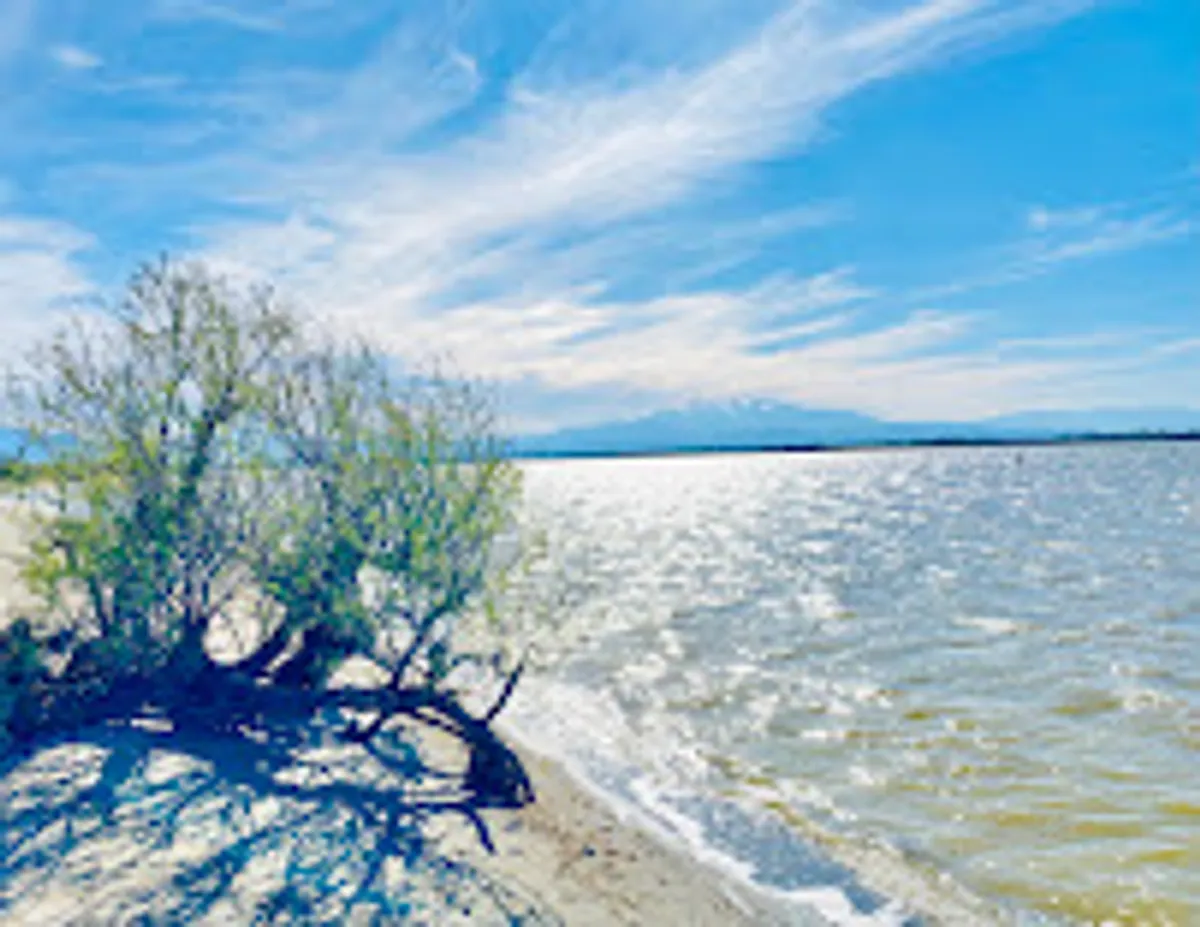 conciergerie du Roussilon