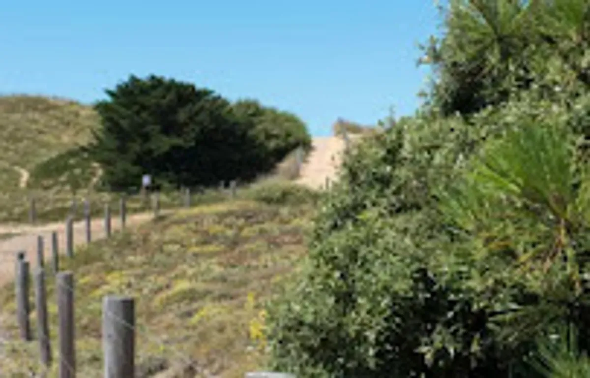 Conciergerie du Sable fin - Photo 6