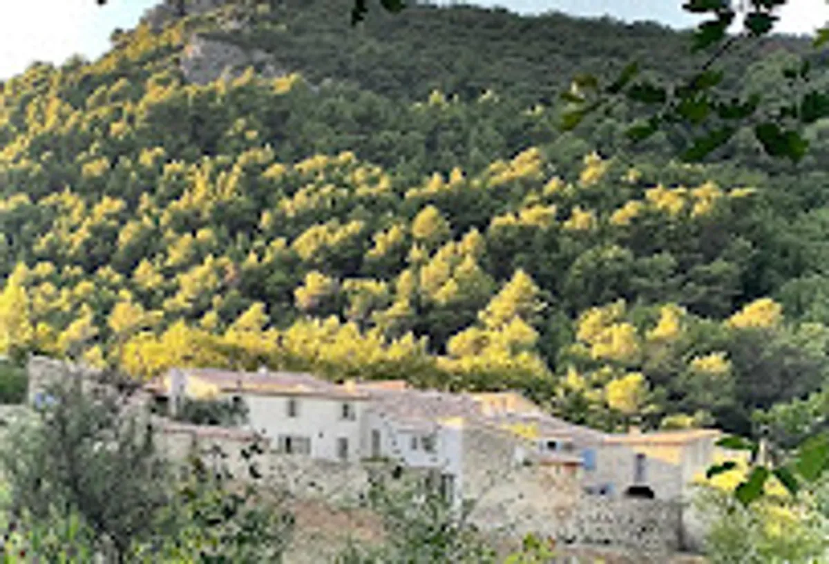 Conciergerie du Ventoux - Photo 2