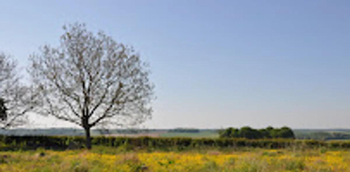 Conciergerie Easylodges - Photo 4