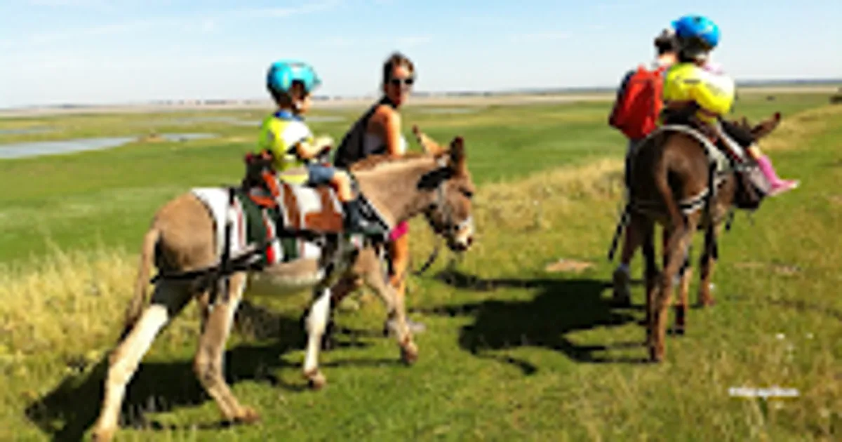 Conciergerie en Baie de Somme - Photo 7