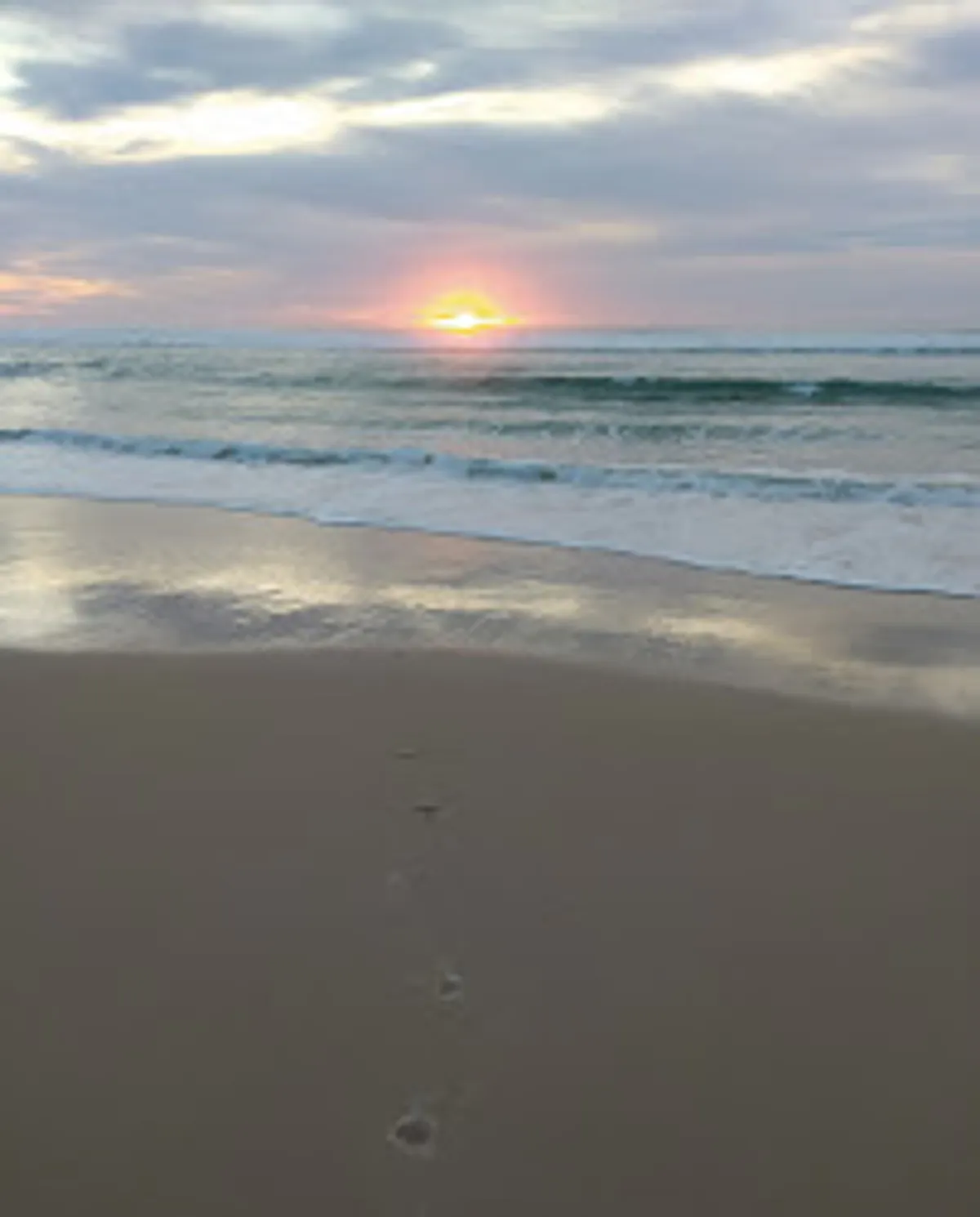 Conciergerie Grands Lacs - Photo 2