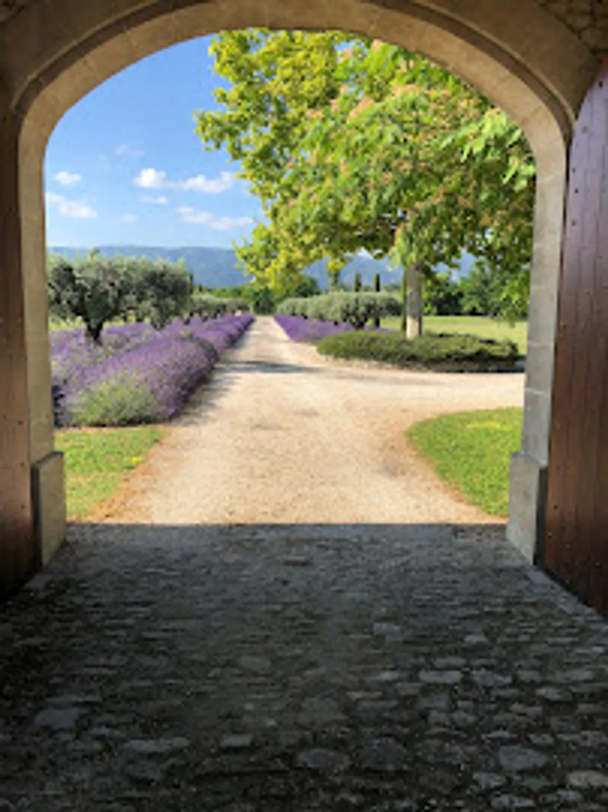 Conciergerie Gustave - Photo 3