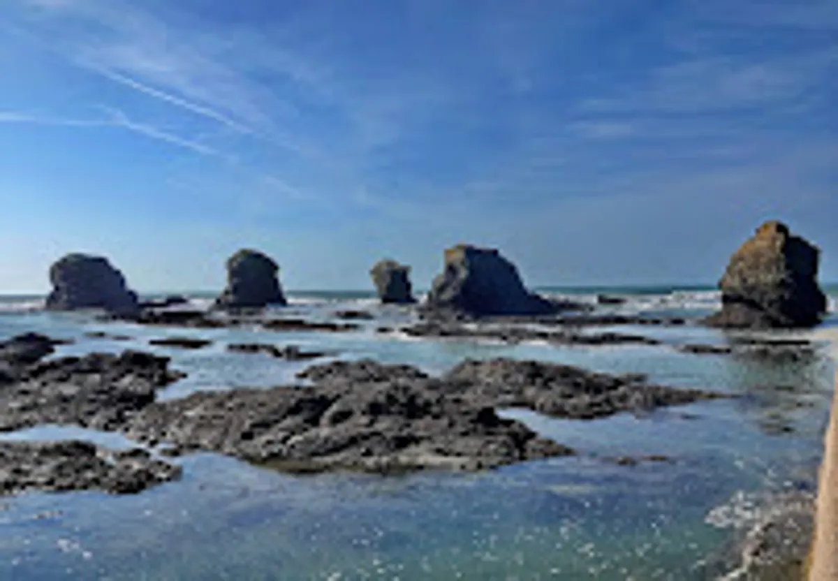 Conciergerie hoomy - Pays de Saint-Gilles-Croix-de-Vie - Photo 5