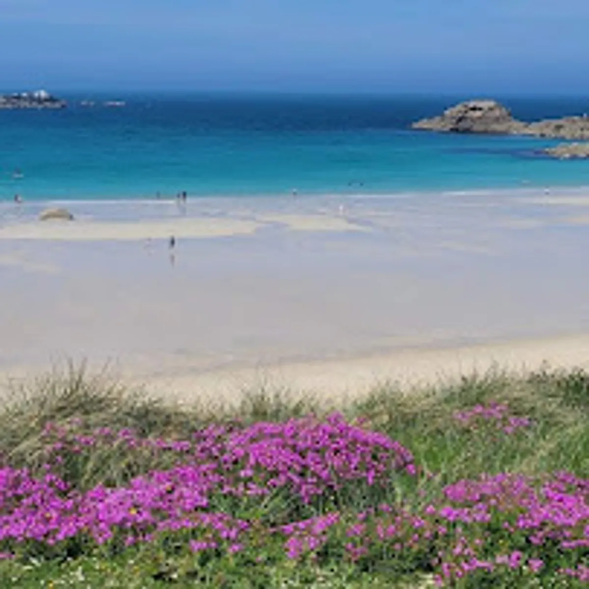 Conciergerie LA BRETONNE - Photo 4