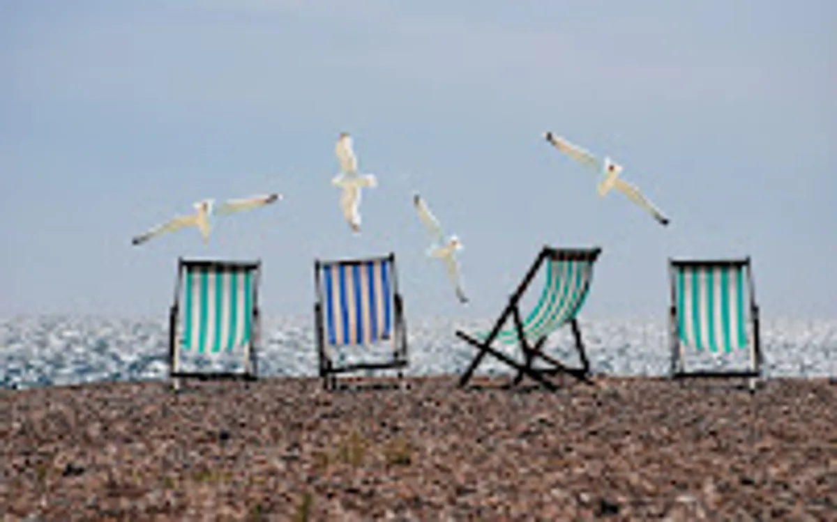 Conciergerie La Rochelle Place de l'Océan - Photo 3