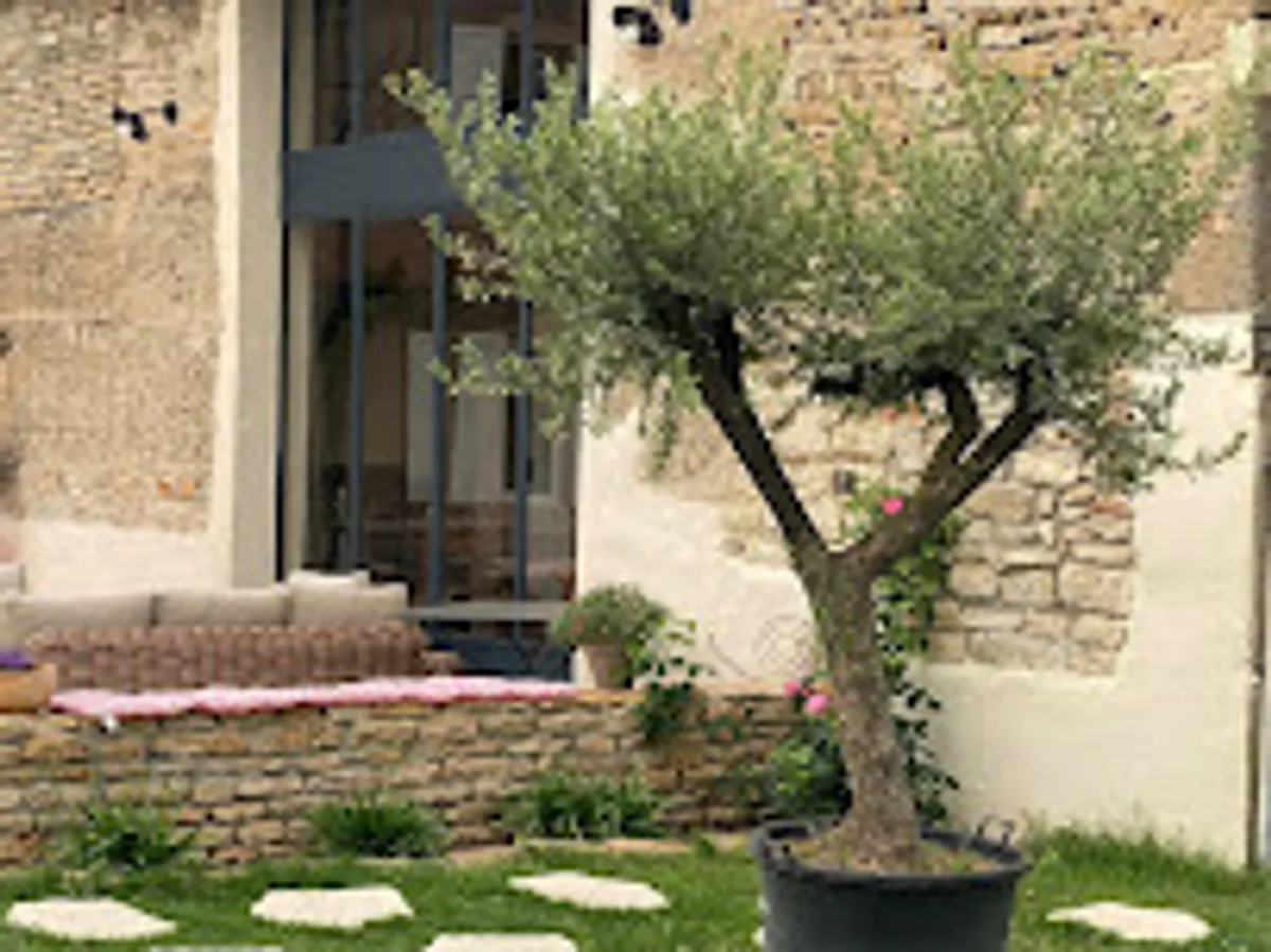 Conciergerie L'Alliance des Soeurs - Photo 4