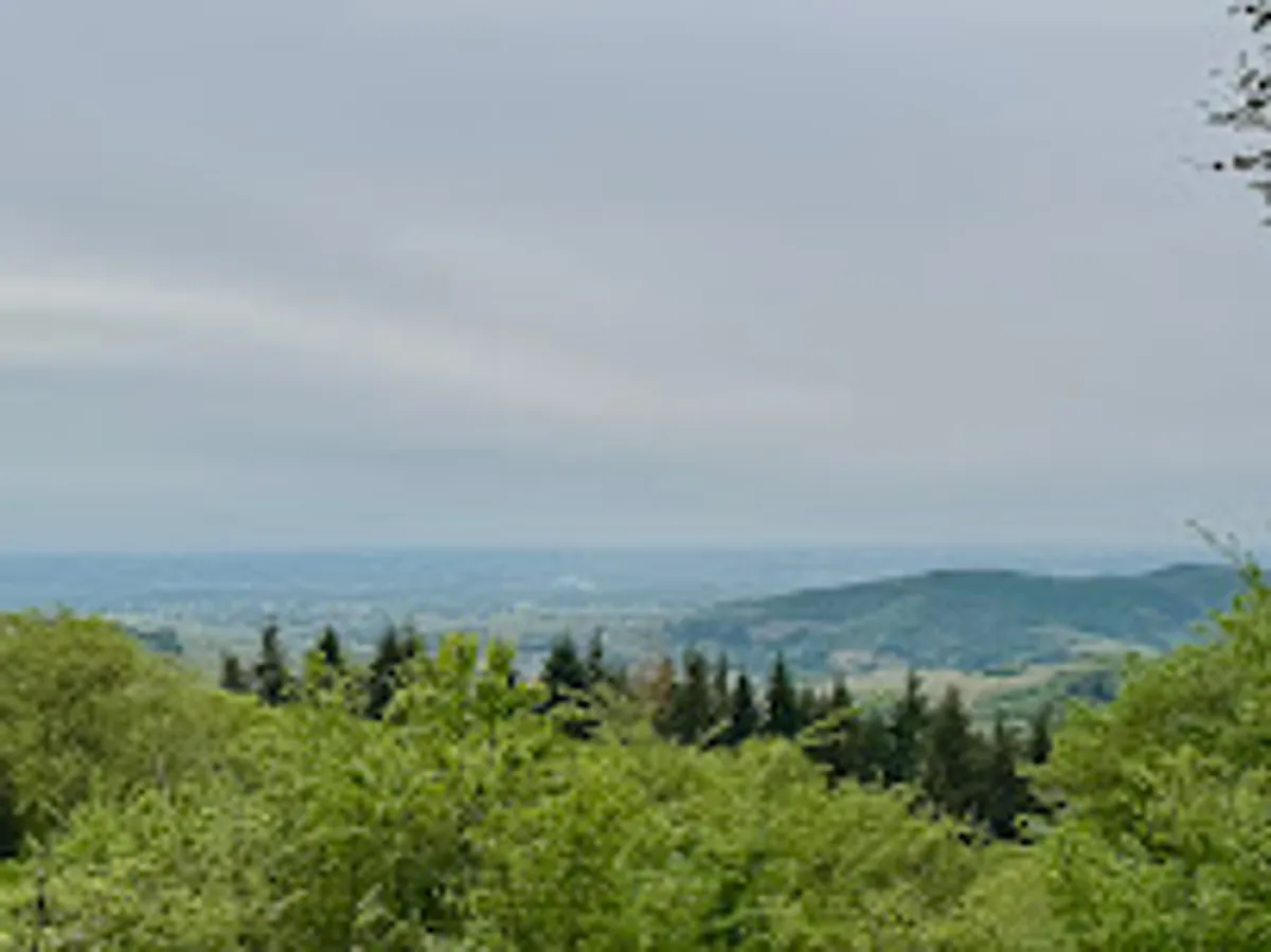 Conciergerie L'Alliance des Soeurs - Photo 6