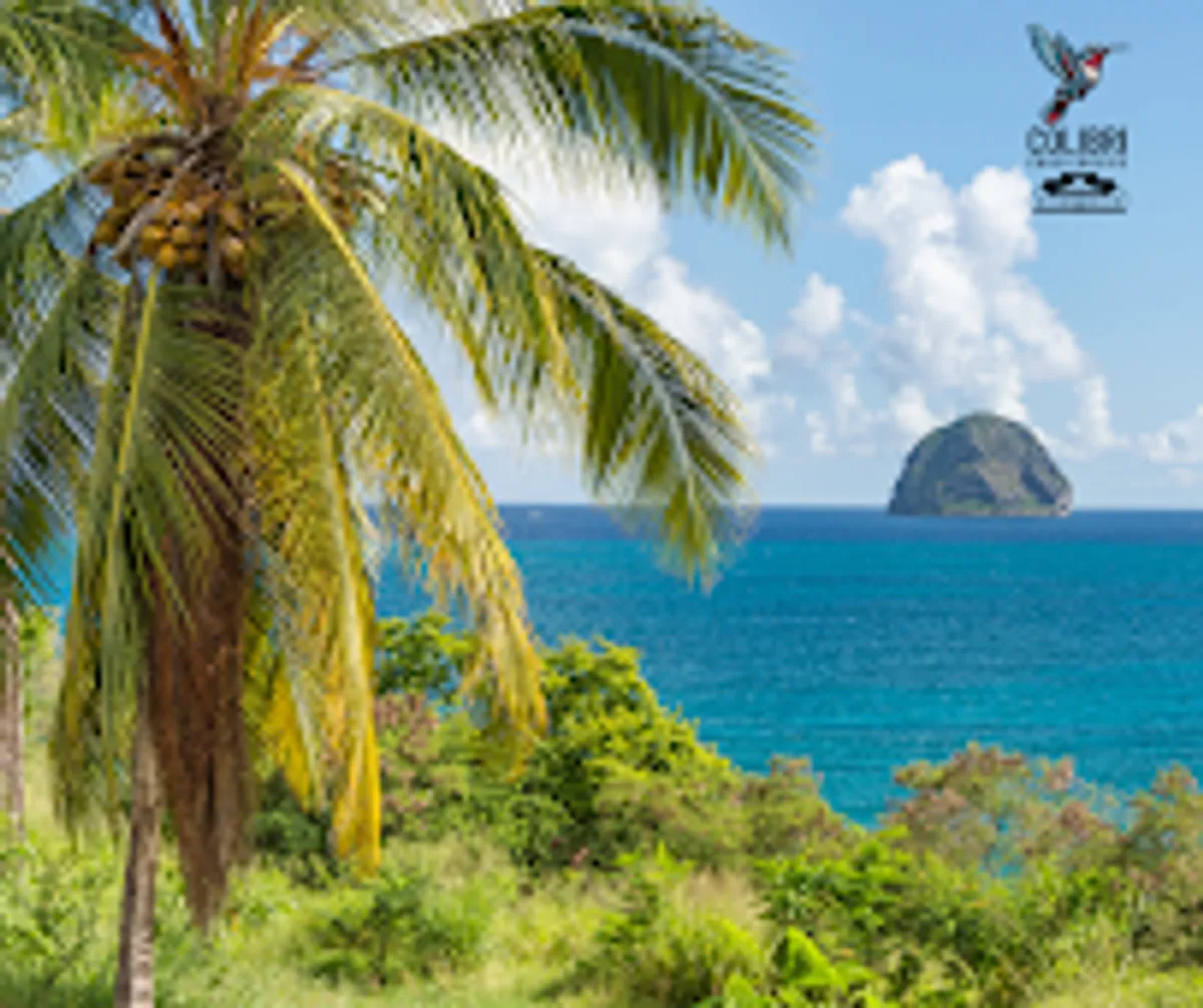 Conciergerie Le Colibri - Photo 7