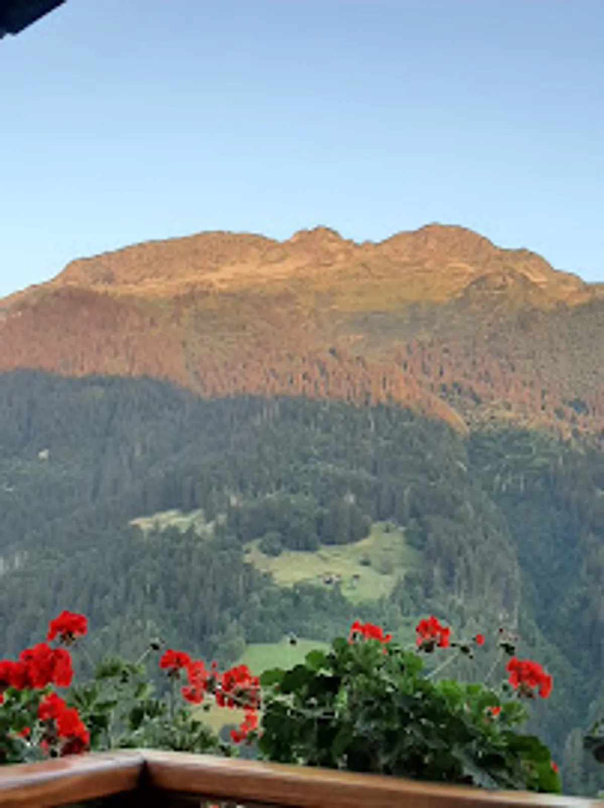 Conciergerie Le Cortina - Photo 8