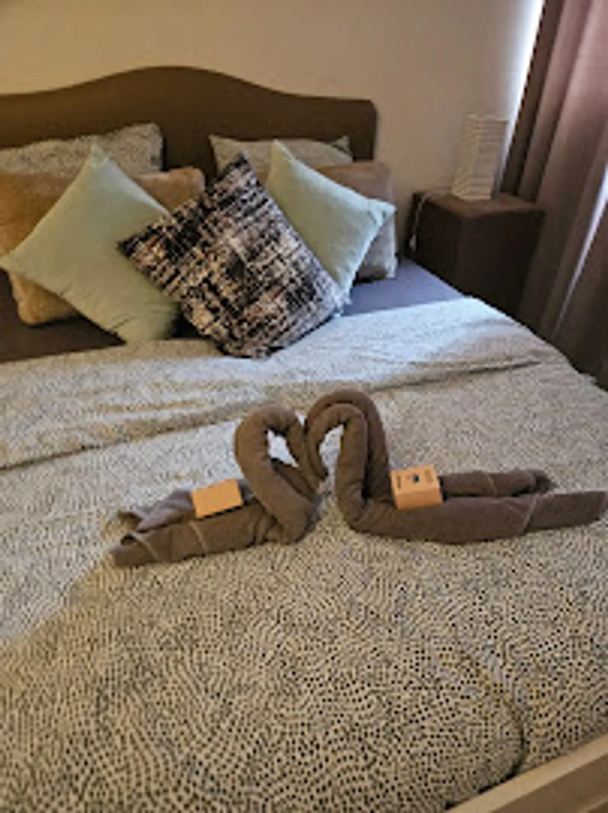 Conciergerie Lensoise