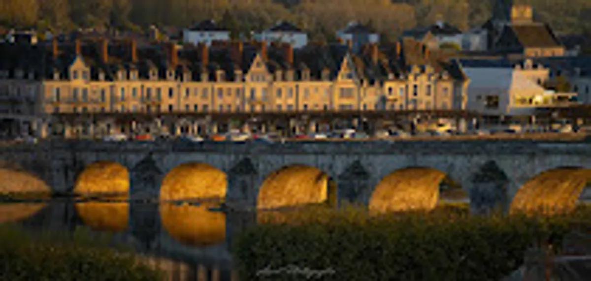 Conciergerie Les Clés de Sologne á Blois & Secteur Zoo de Beauval - Photo 6