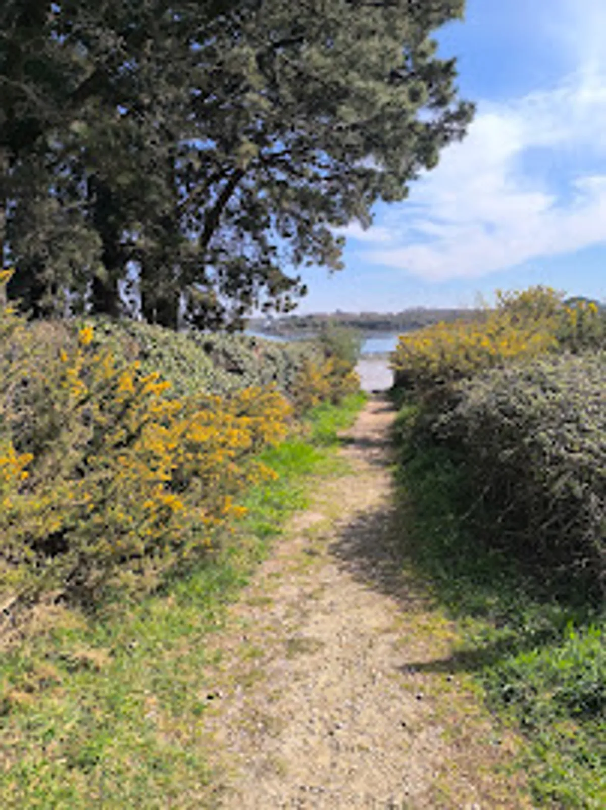 Conciergerie Les GRAVELOTS Plouhinec - Photo 3