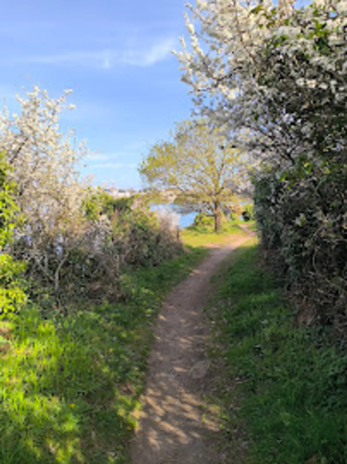 Conciergerie Les GRAVELOTS Plouhinec - Photo 5