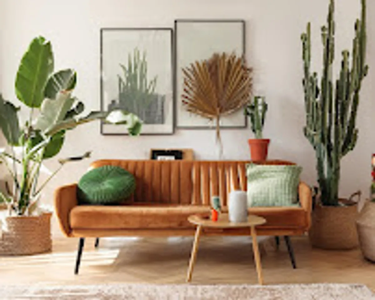 Conciergerie Limae services