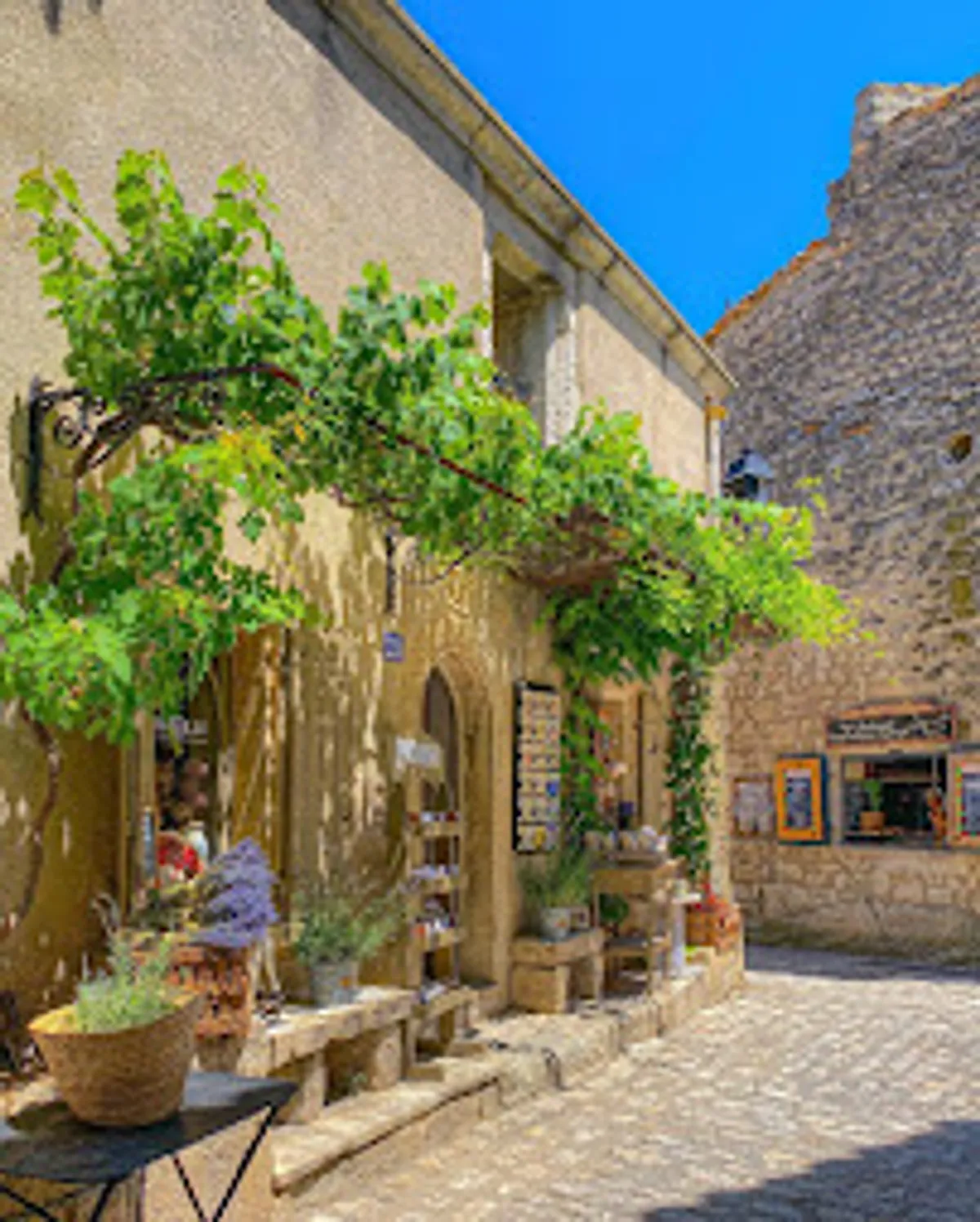 CONCIERGERIE L'OR BLEU - Photo 2