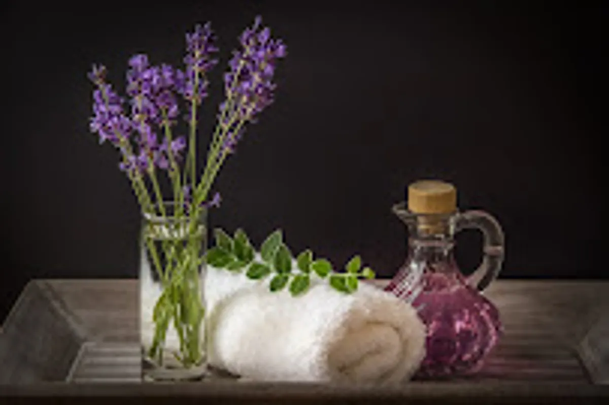 CONCIERGERIE L'OR BLEU - Photo 5