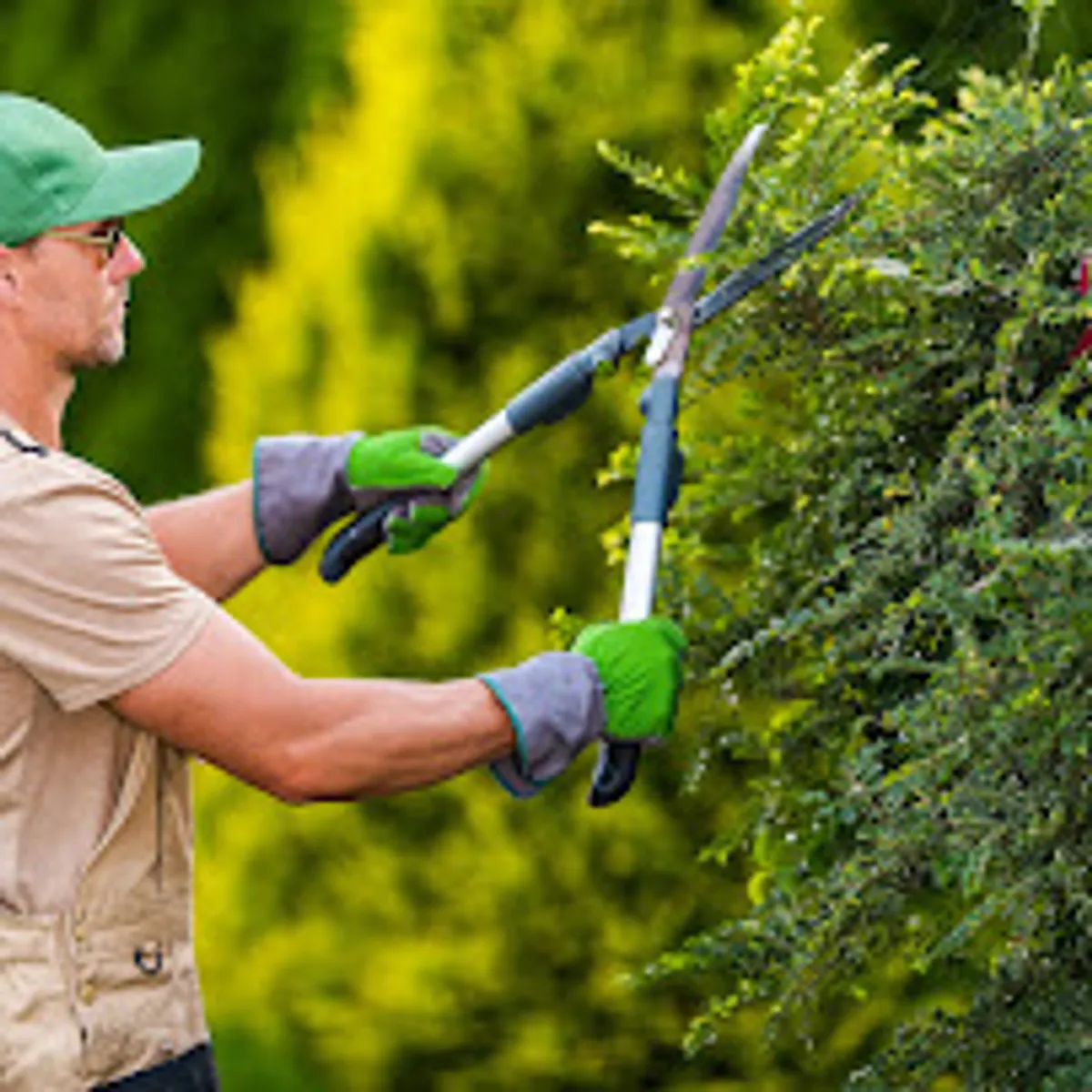 Conciergerie Lunel les petites fées Occitanie - Photo 4
