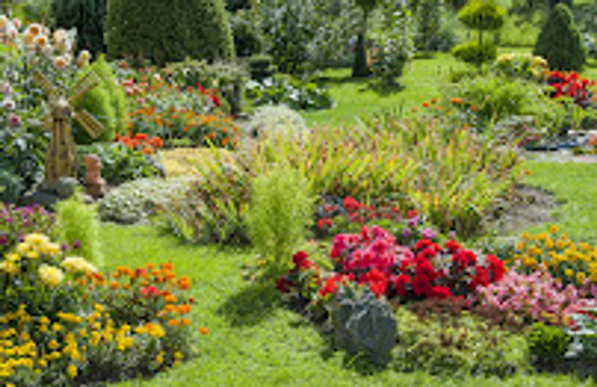 Conciergerie M - Photo 8