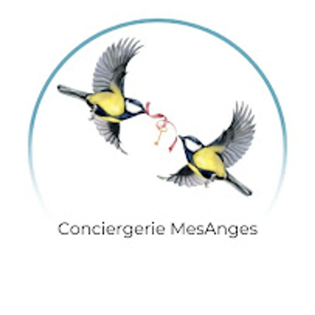 Conciergerie MesAnges - Photo 2