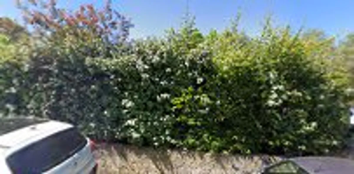 Conciergerie OptiRendement