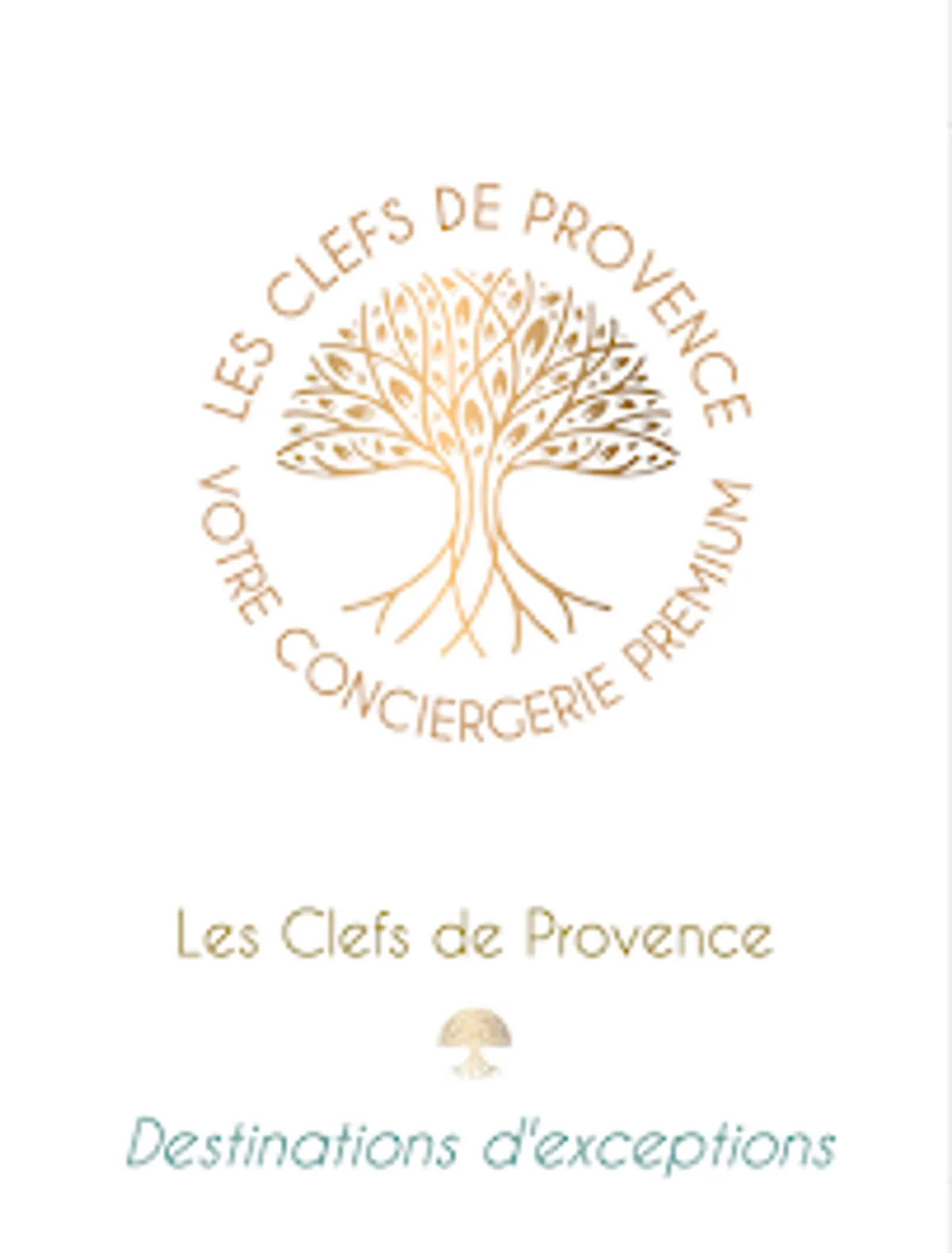 Conciergerie Premium Les Clefs de Provence - Photo 7