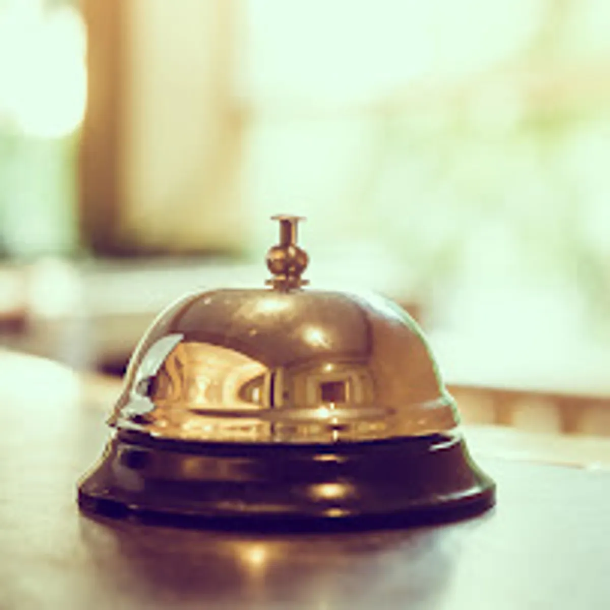 Conciergerie privée d'Hardelot - Photo 5