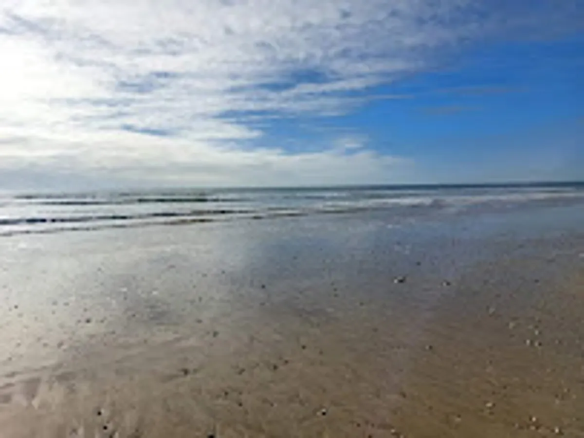 Conciergerie RéMarie