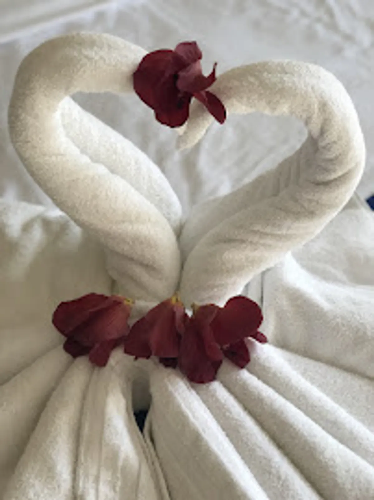 Conciergerie Sérénité et Prestige - Photo 4