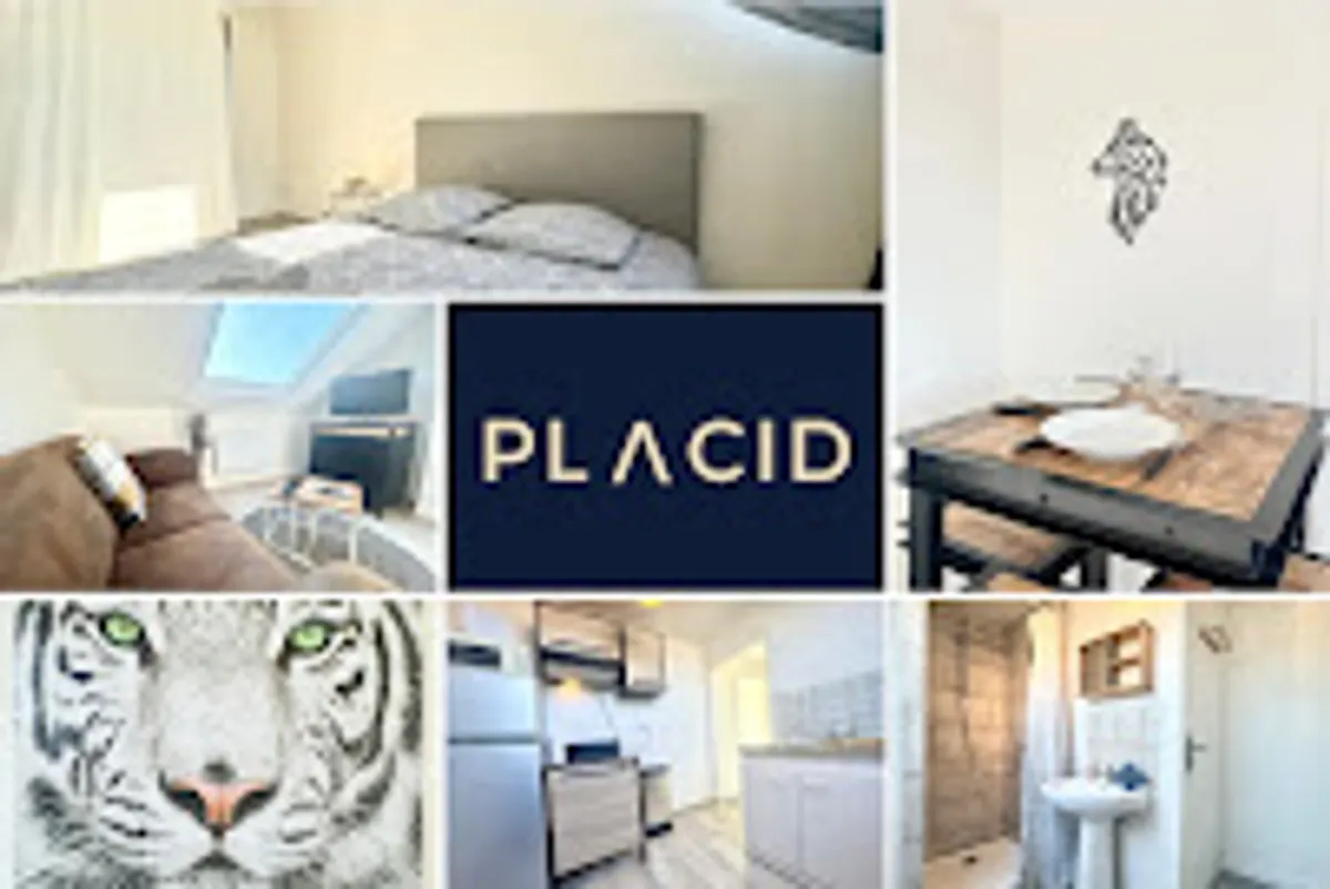 CONCIERGERIE & SOUS LOCATION PLACID CALAIS - Photo 8