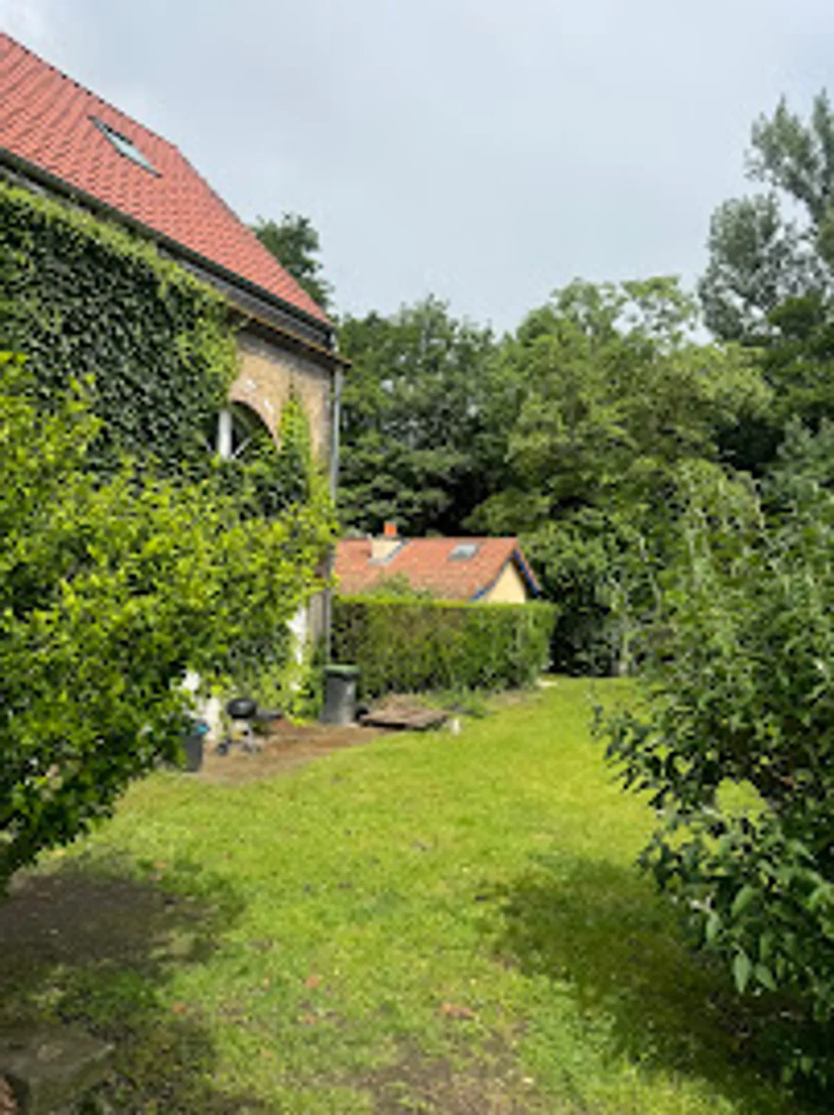 Conciergerie Terre et Volcans - Photo 6