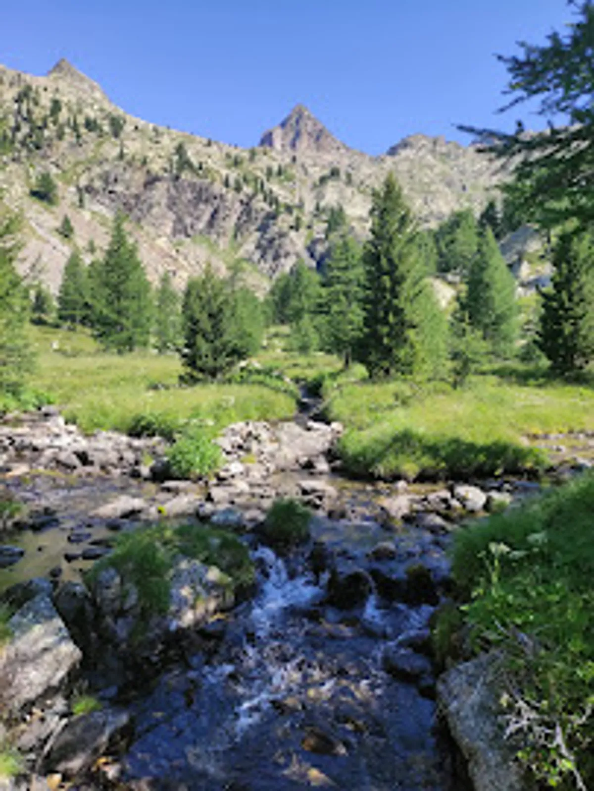 Conciergerie vallée vesubieandwe - Photo 2