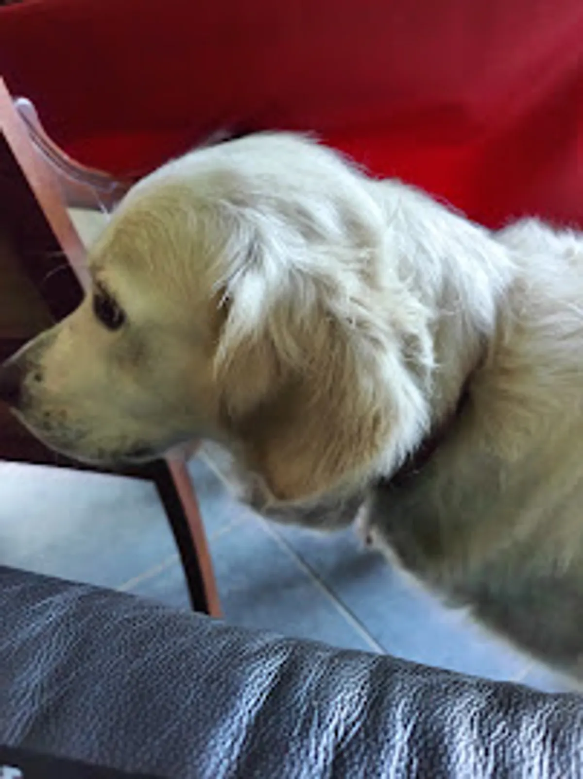 Conciergerie Vannetaise - Photo 2