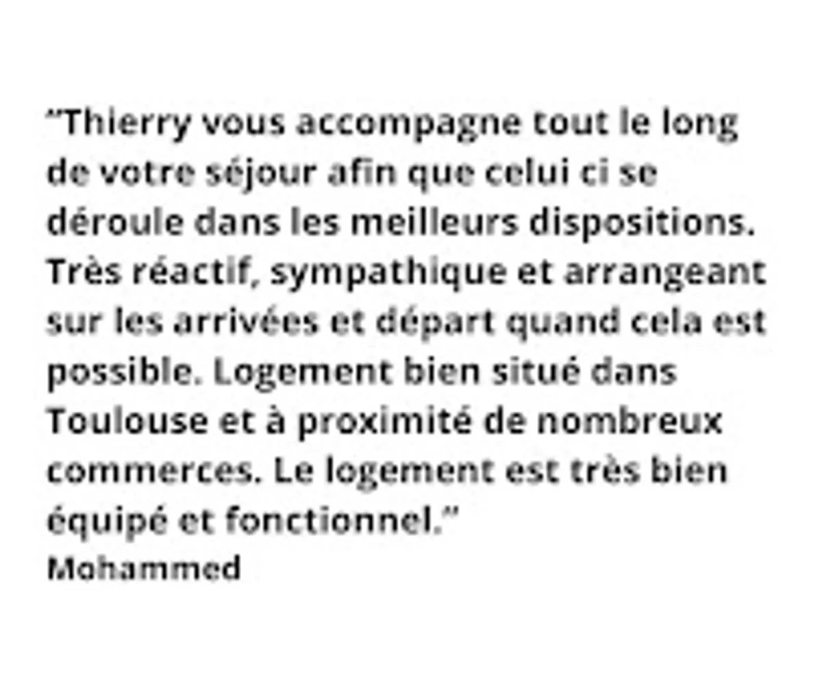 Conciergerie Yes Toulouse - Photo 9