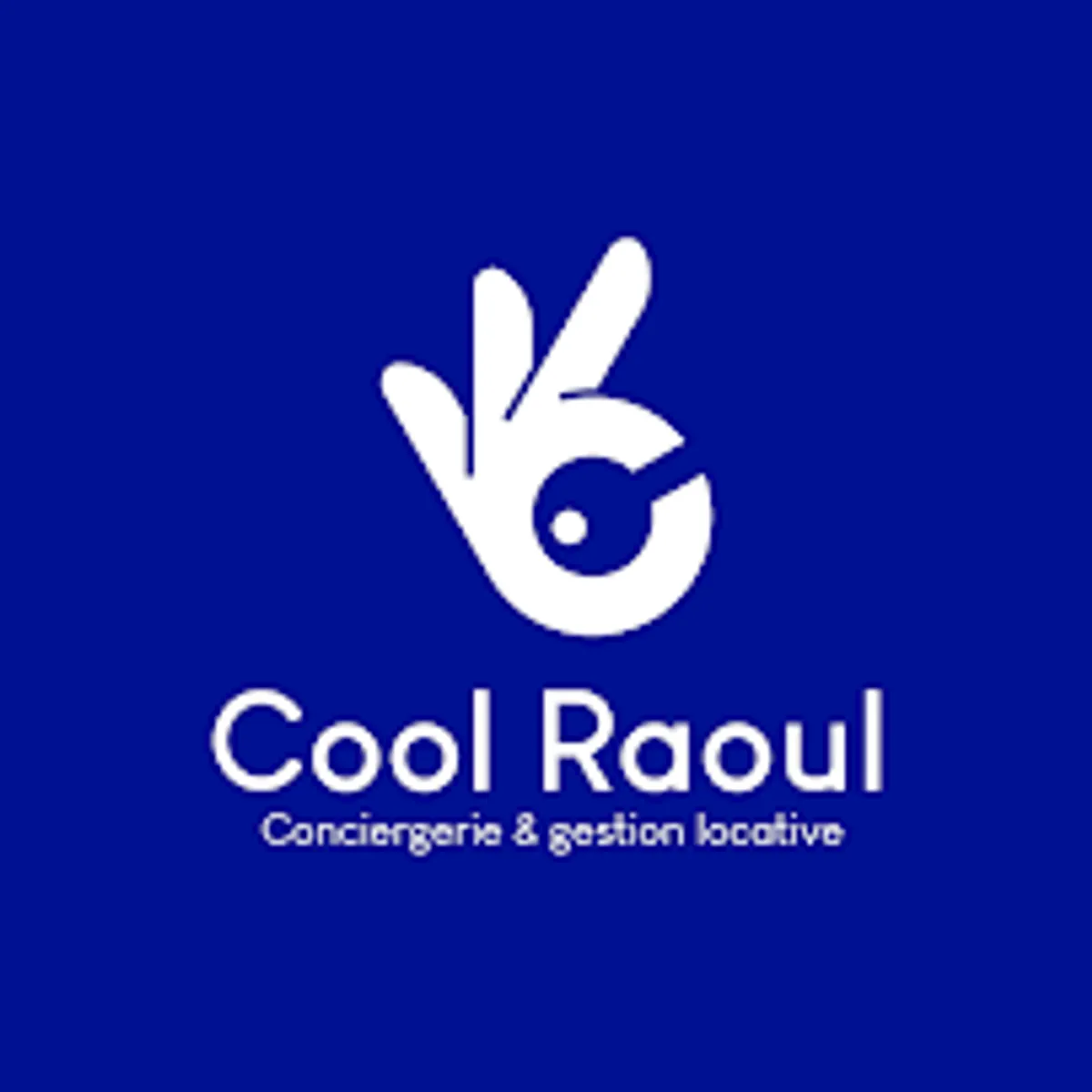 Cool Raoul Conciergerie Châteauroux - Photo 4