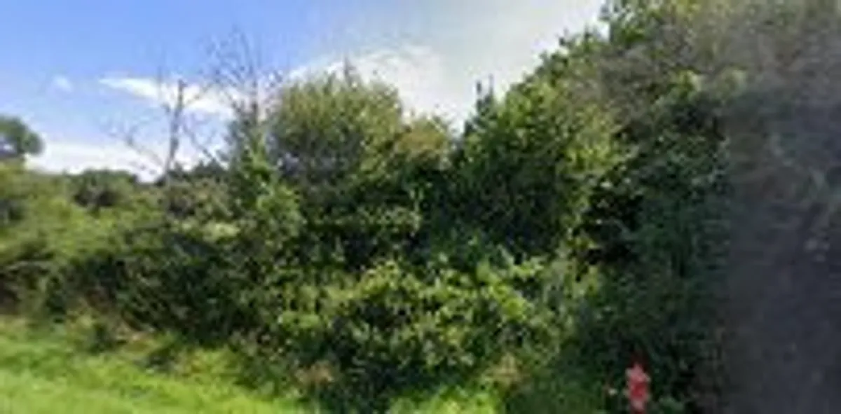 Côte & clés - Photo 7