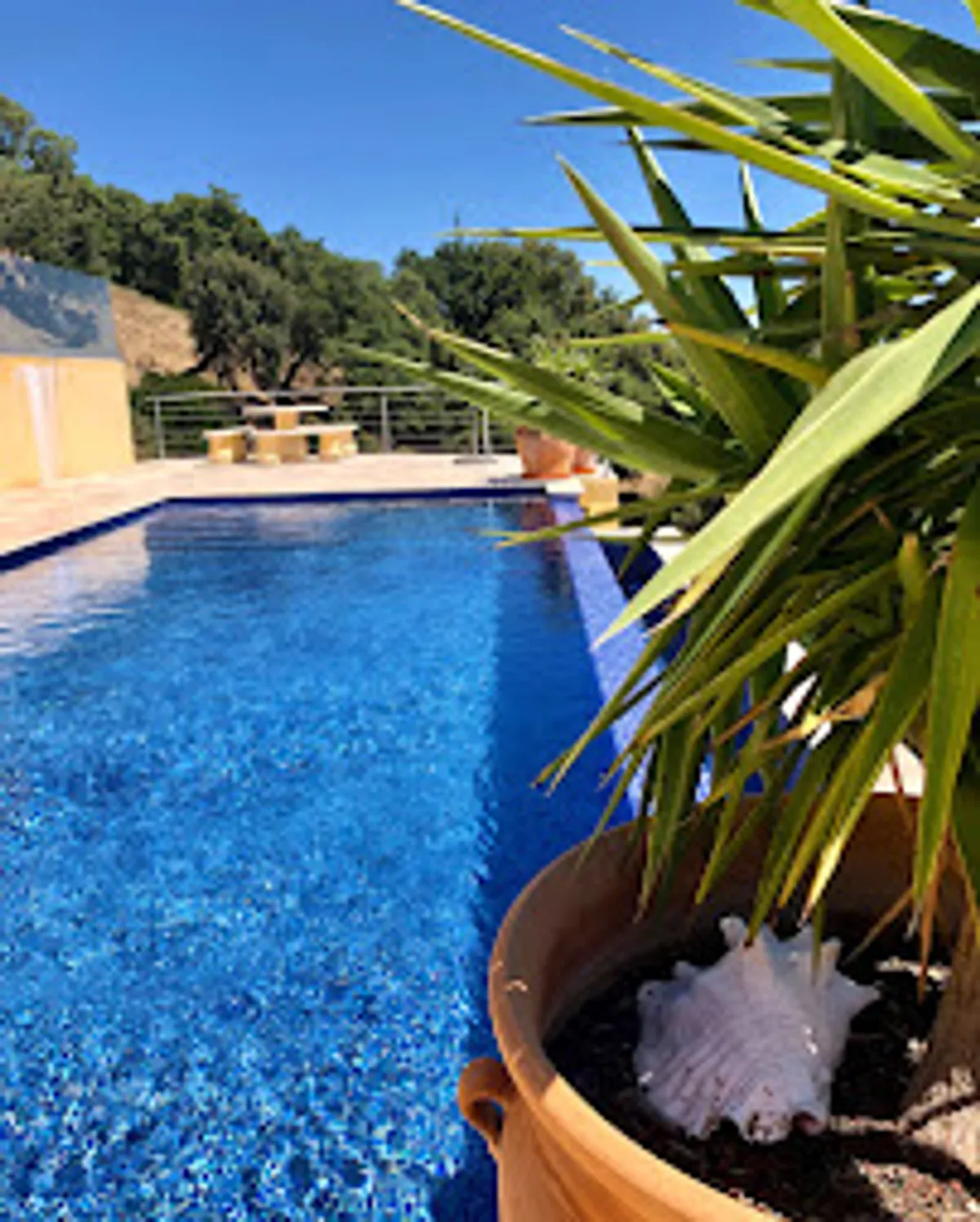 CRYSTAL RENTALS - Photo 7