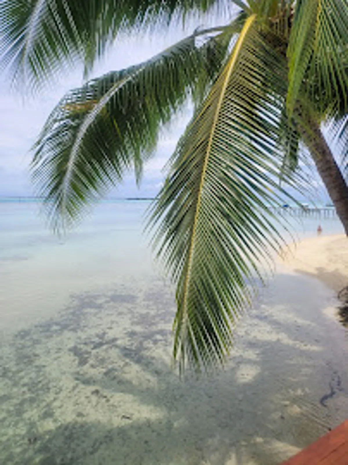 Ddayhome. La Conciergerie Premium, Prestige ️⭐️⭐️⭐️⭐️⭐️ ️ ️ ️ ️ - Photo 4