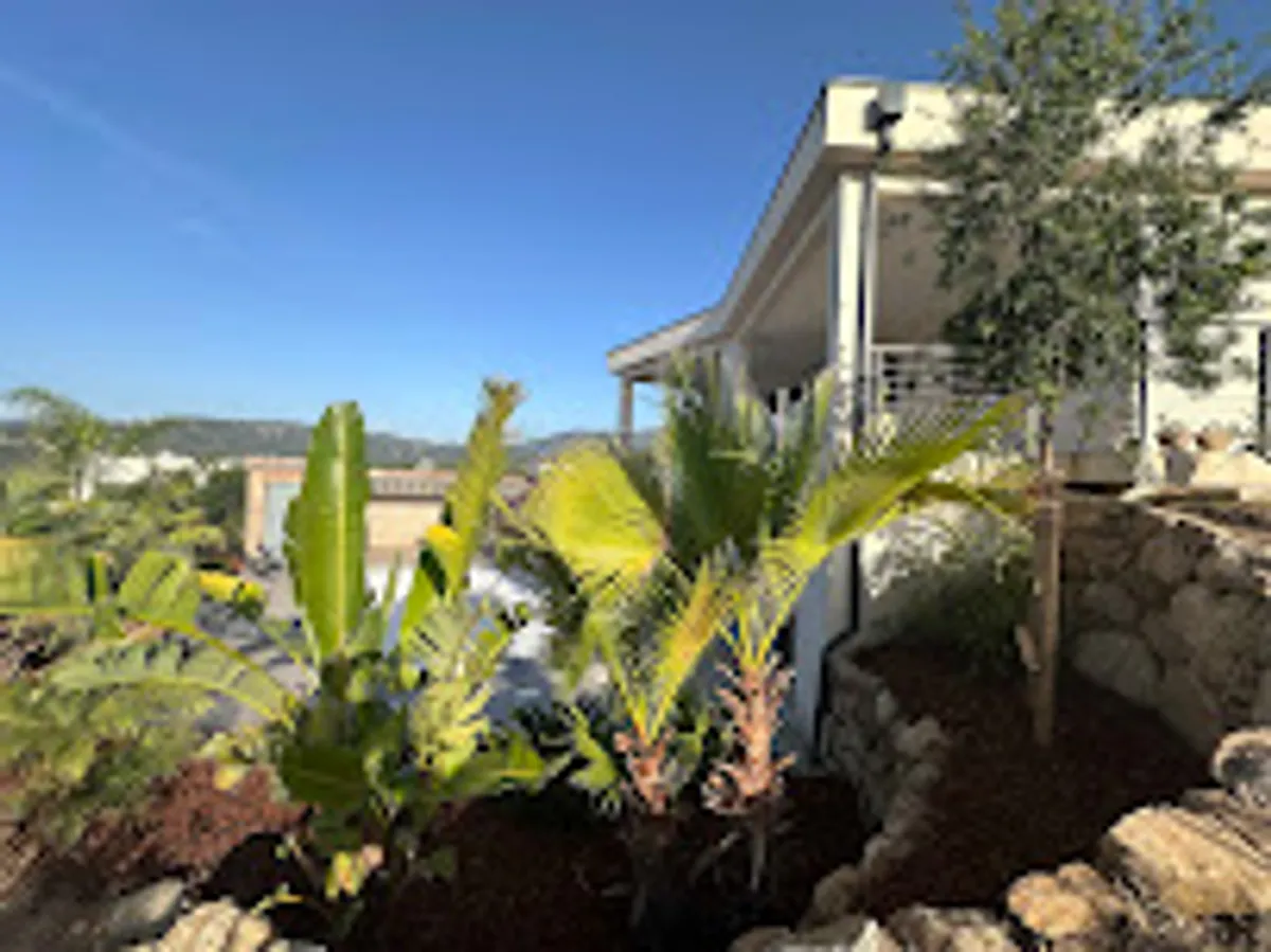 Easy Corsica ( Conciergerie )