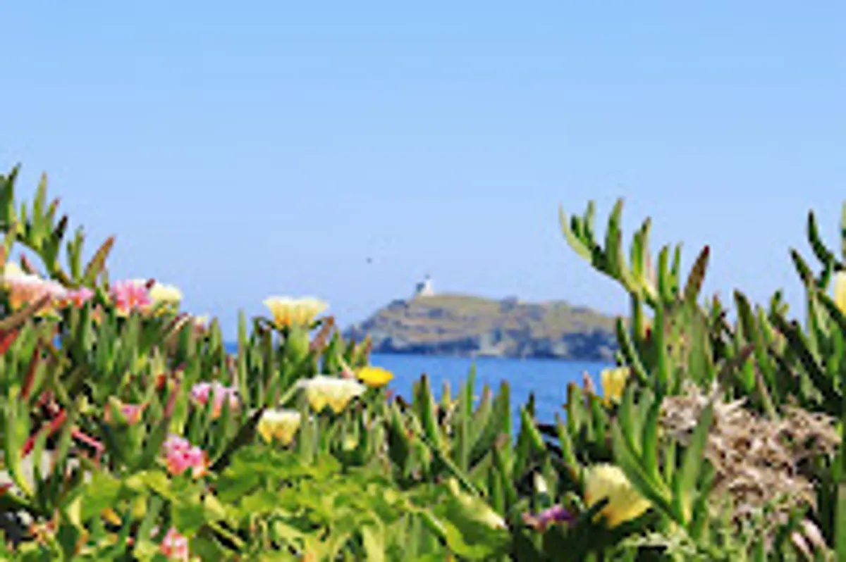 Easy Corsica ( Conciergerie ) - Photo 3