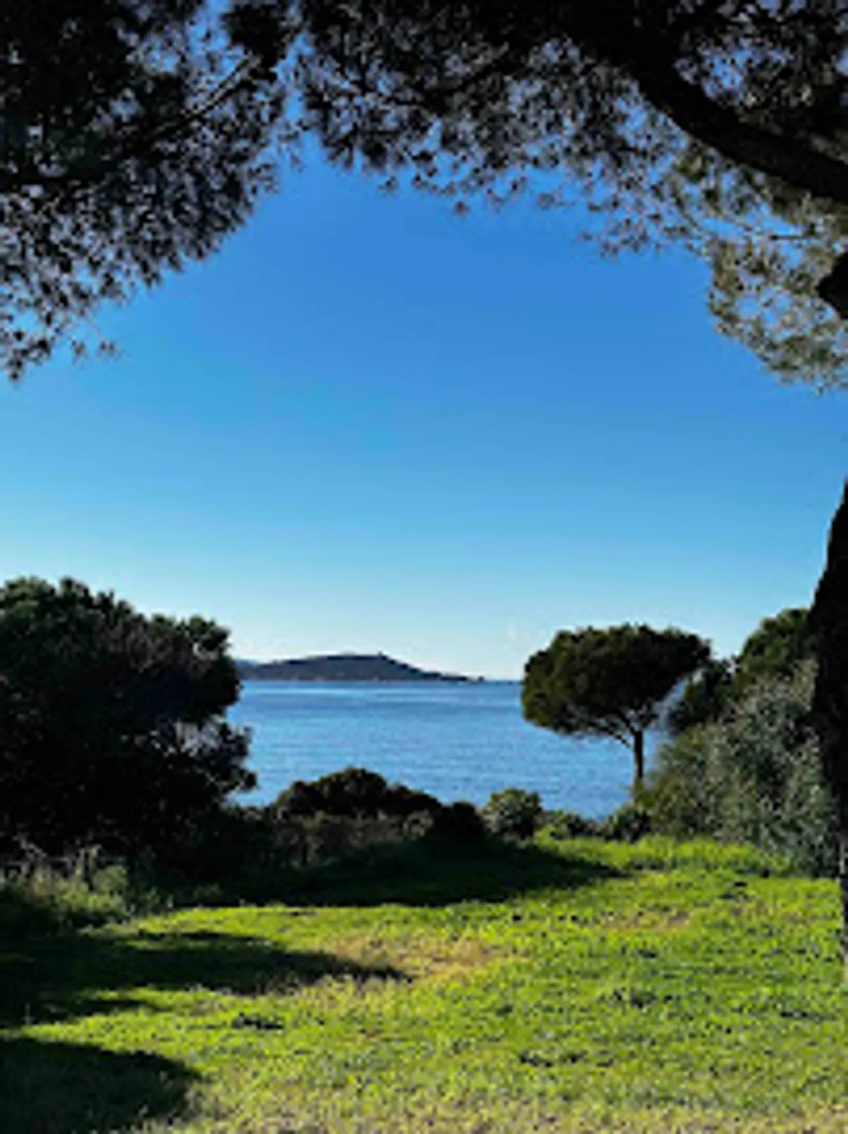 Easy Corsica ( Conciergerie ) - Photo 4